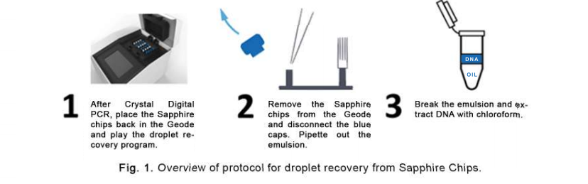 Droplet Recovery overview
