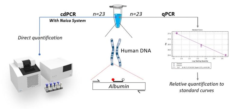 Page 2 fig 1