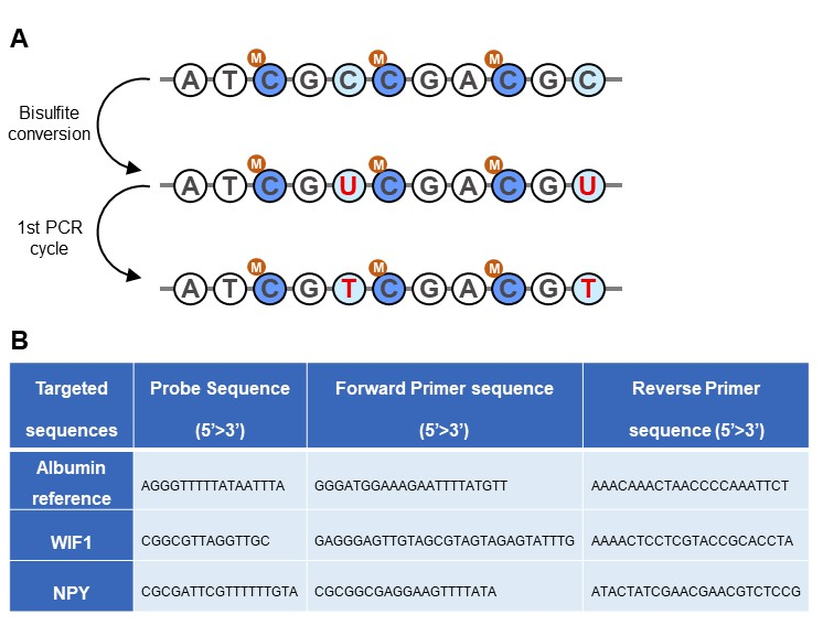 Figure_1_methylation.jpg