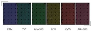 Fluorophores