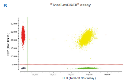 Fig2B