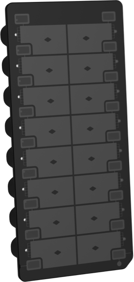 chip