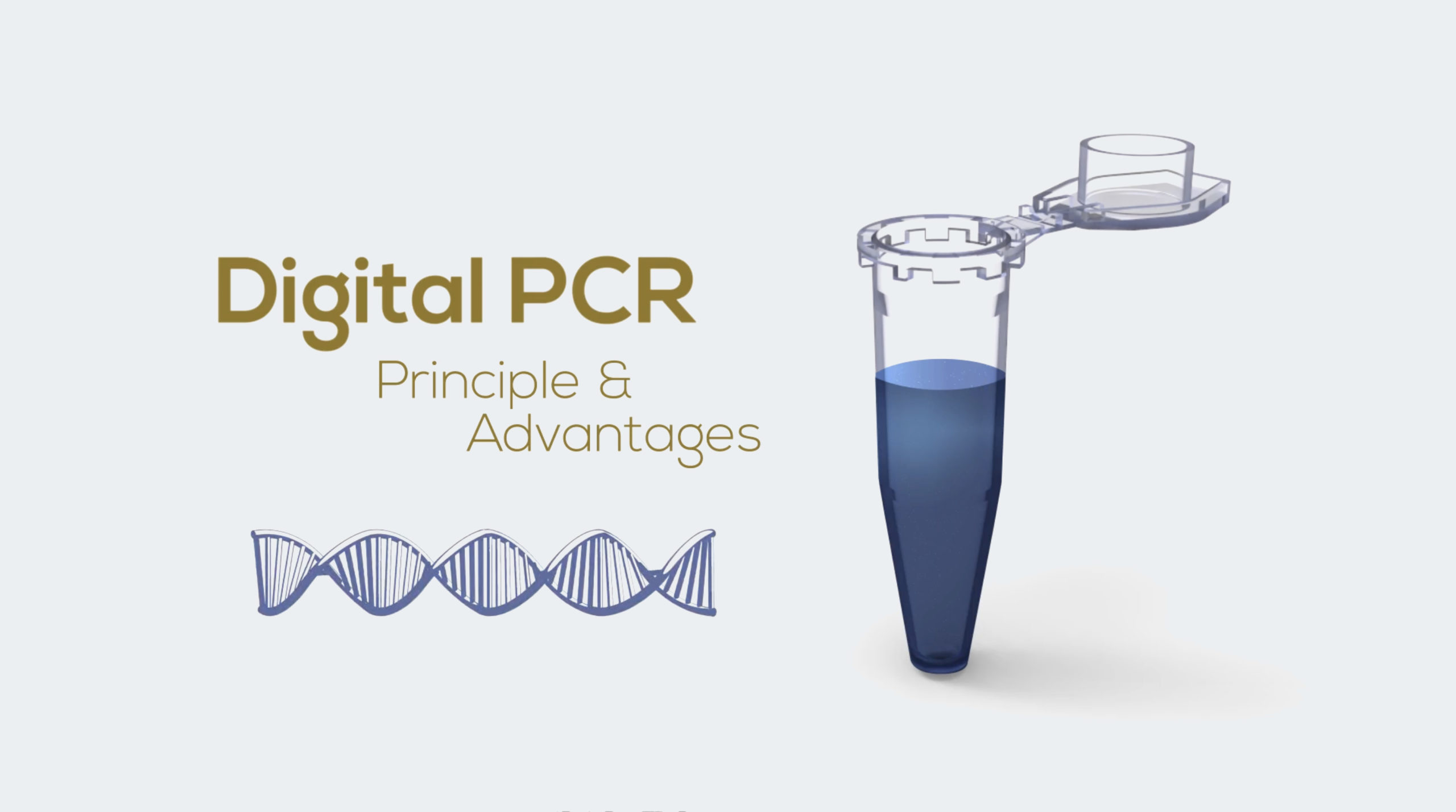 Digital PCR Principle, techniques and applications | Stilla