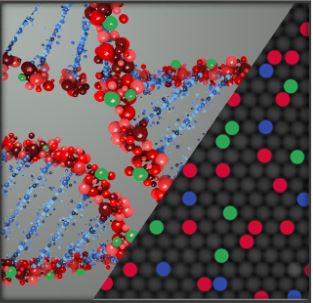 DNA visual
