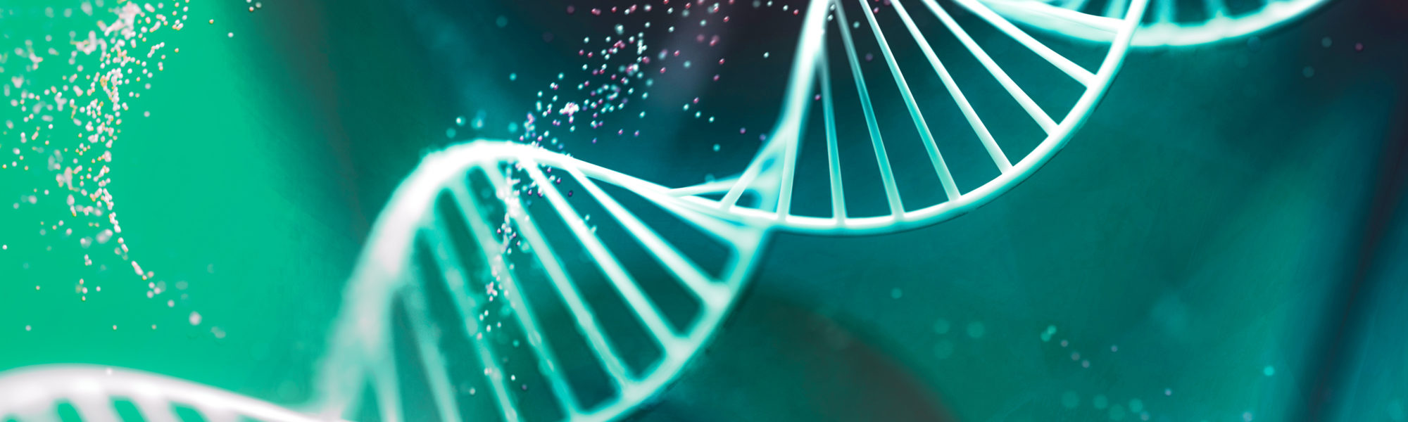 3d render image of a human DNA