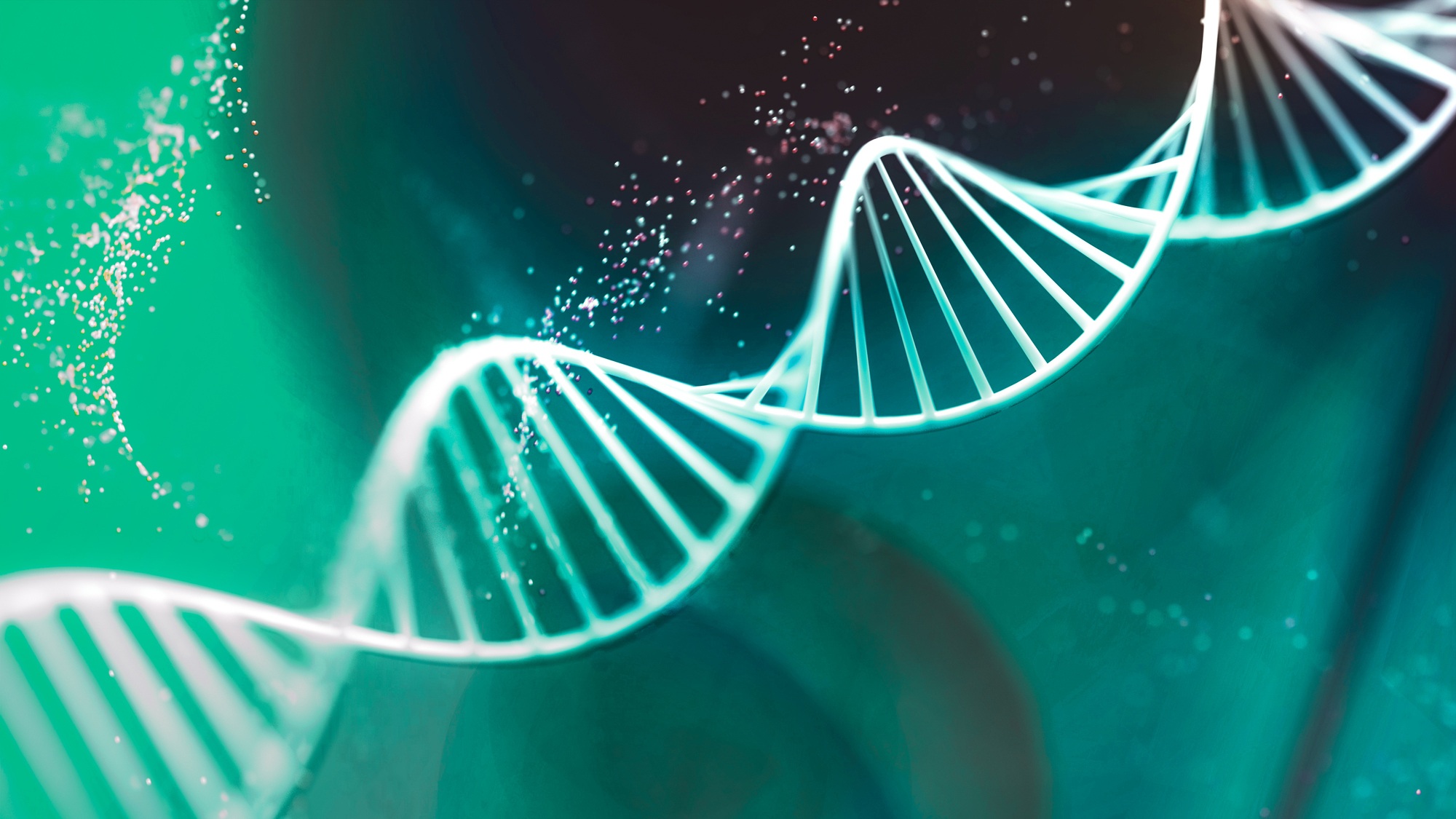 3d render image of a human DNA