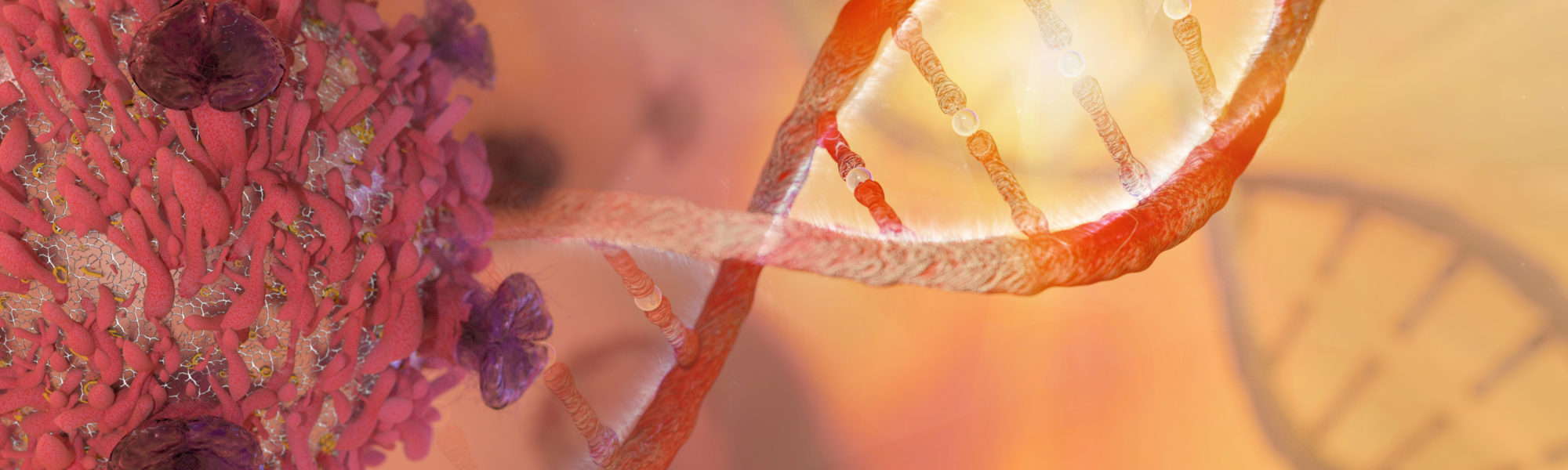 DNA strand and Cancer Cell